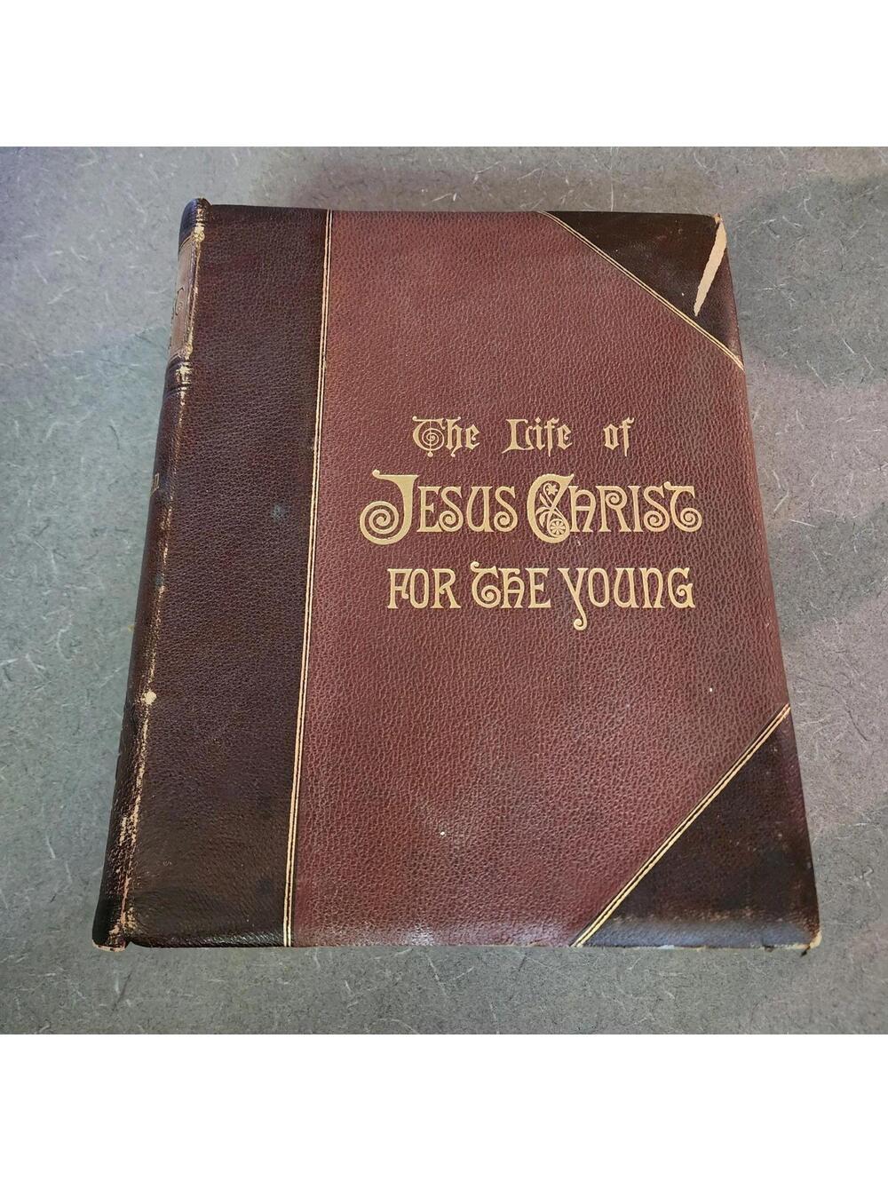 Vintage 1880 The Life of Jesus Christ for the Young Rev Richard Newton Bible